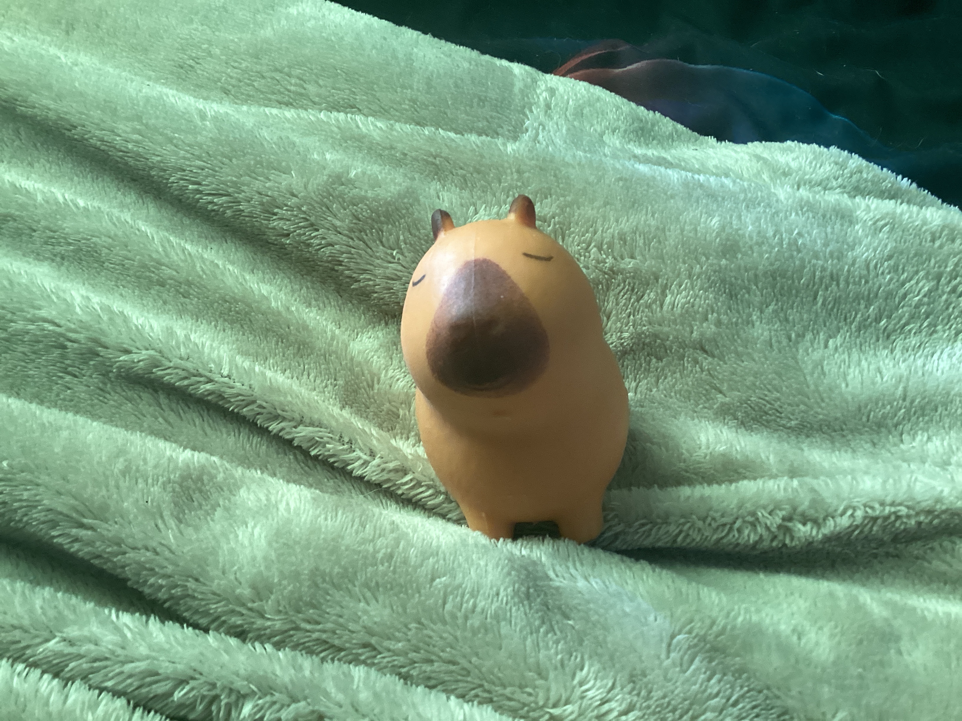 Squishy en forma de capybara sobre superficie clara, ejemplo de squishy genérico kawaii.